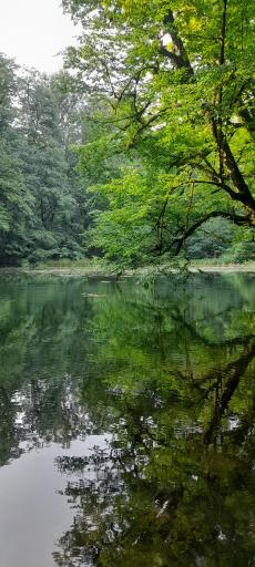 عکس دریاچه فراخین