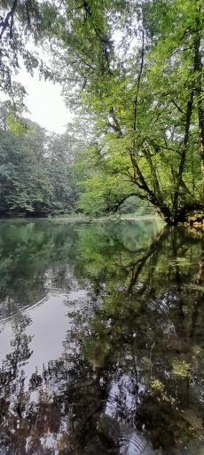 عکس دریاچه فراخین