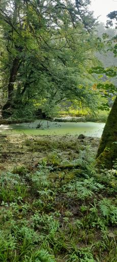 عکس دریاچه فراخین