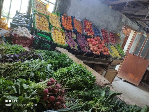 عکس باغ سبزی فروشی