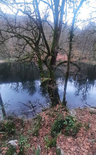 عکس دریاچه فراخین