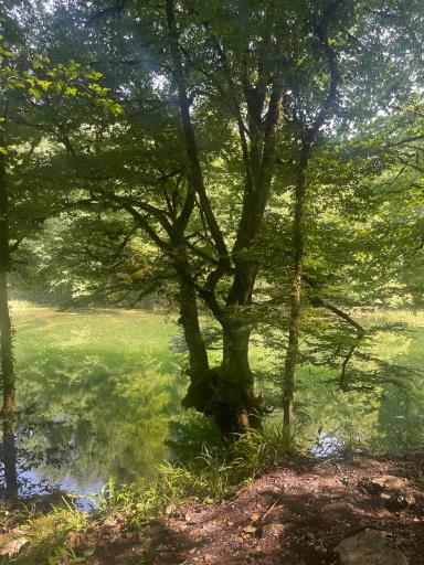 عکس دریاچه فراخین