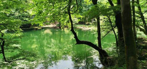 عکس دریاچه فراخین