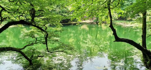 عکس دریاچه فراخین