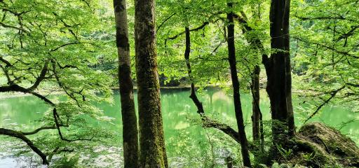 عکس دریاچه فراخین