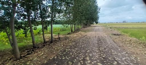 عکس تالاب نیلوفر آبی بابلسر