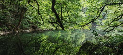 عکس دریاچه فراخین