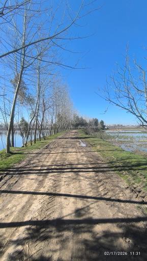 عکس تالاب نیلوفر آبی بابلسر