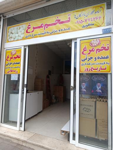 عکس تخم مرغ منظوری