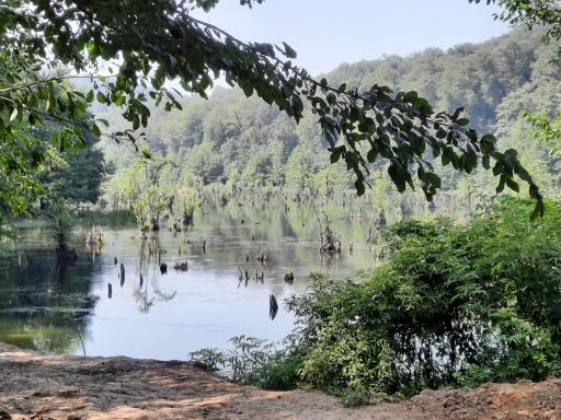 عکس دریاچه فراخین