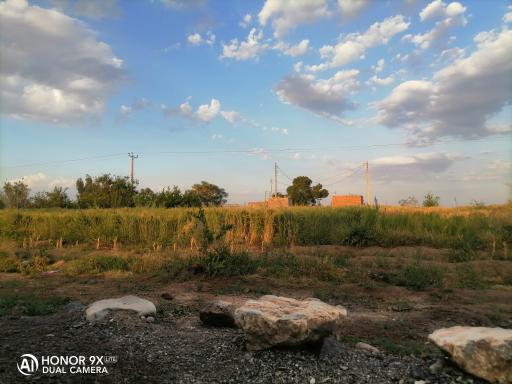 عکس کبودان