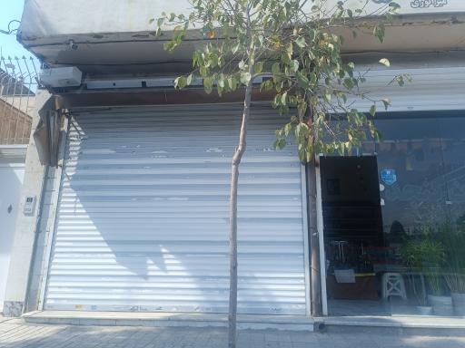 عکس شکار طبیعت مشهد شکار