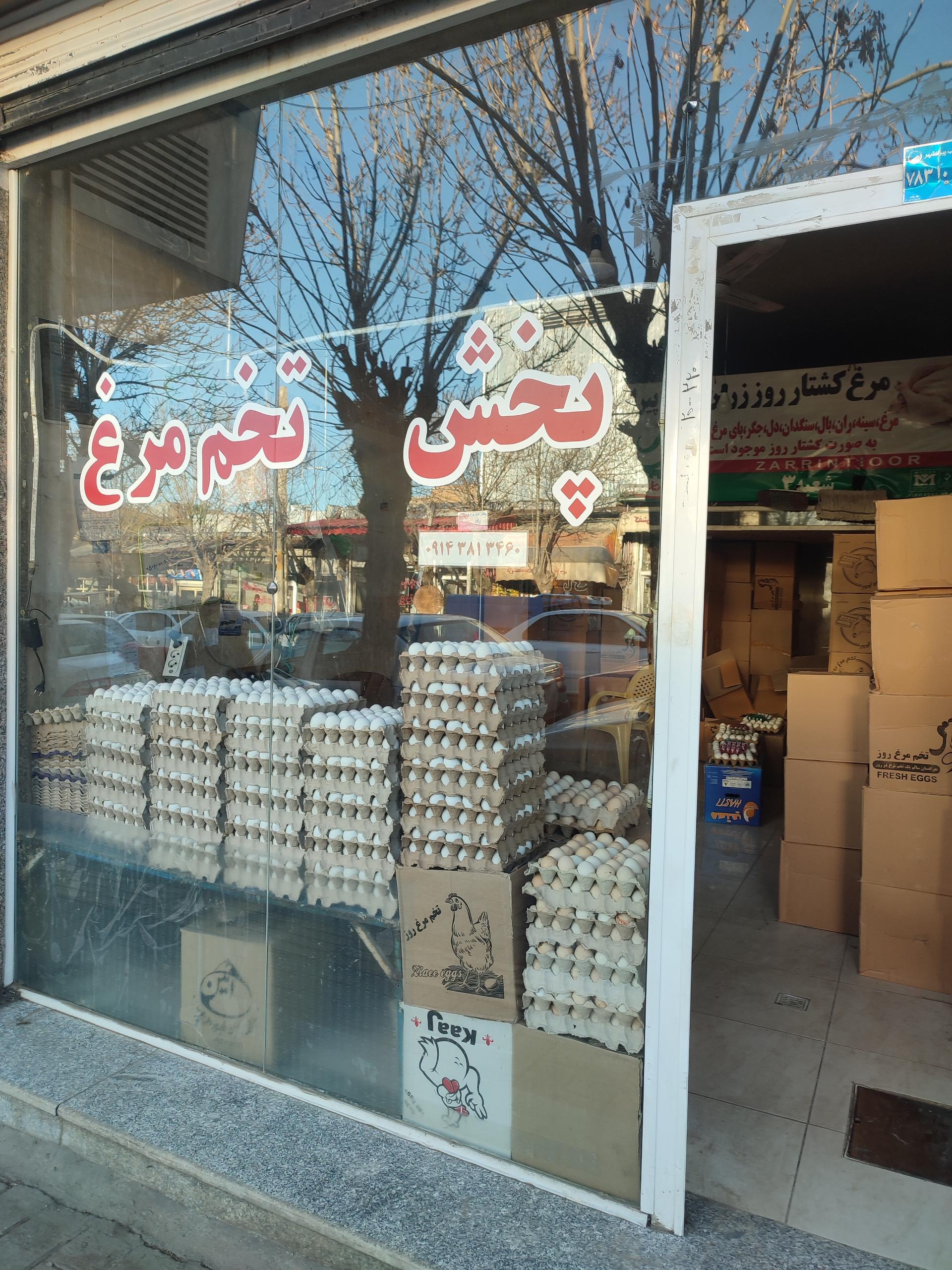 عکس دفتر پخش تخم مرغ روژ