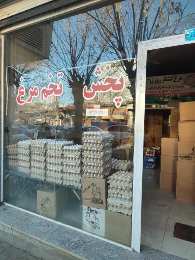 عکس دفتر پخش تخم مرغ روژ
