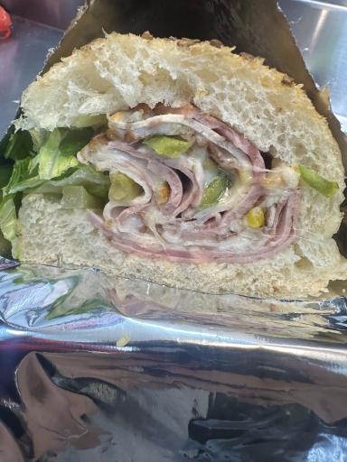 عکس پیتزا پانل