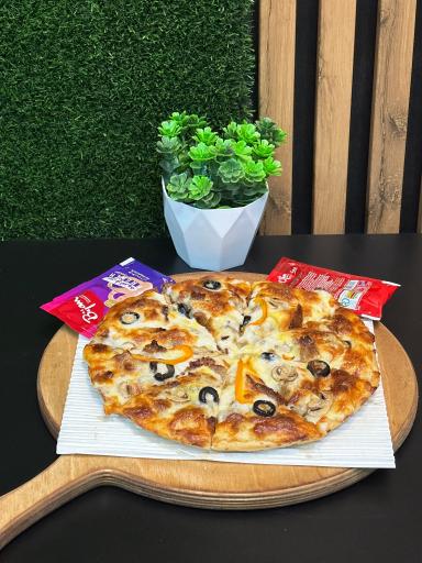 عکس پیتزا پانل