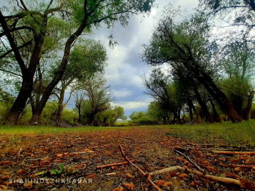 عکس محمودآباد