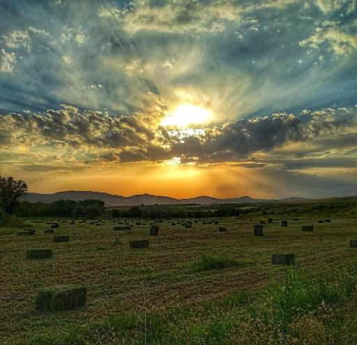 عکس محمودآباد