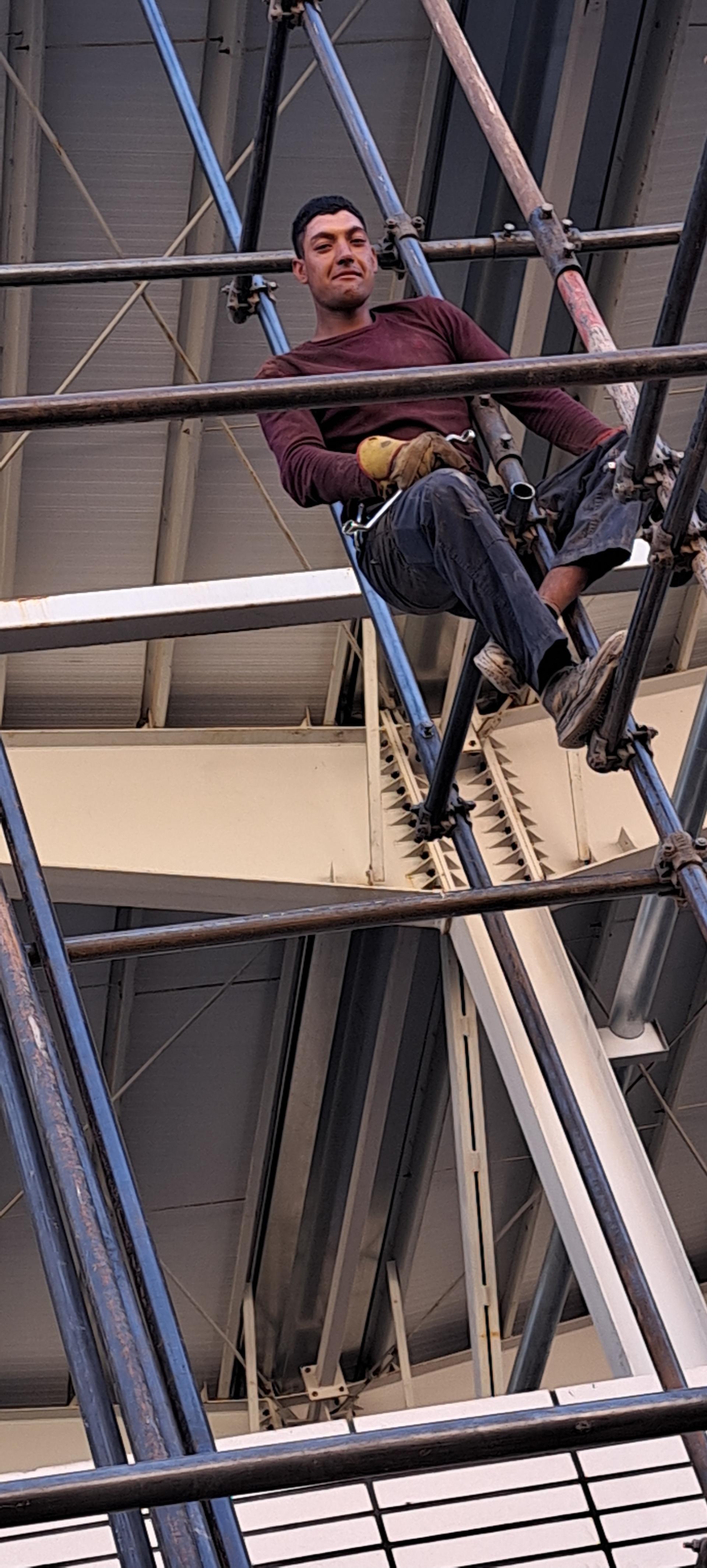 عکس الو داربست