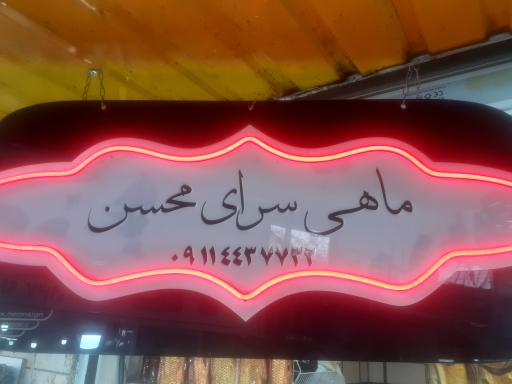 عکس ماهی سرای محسن