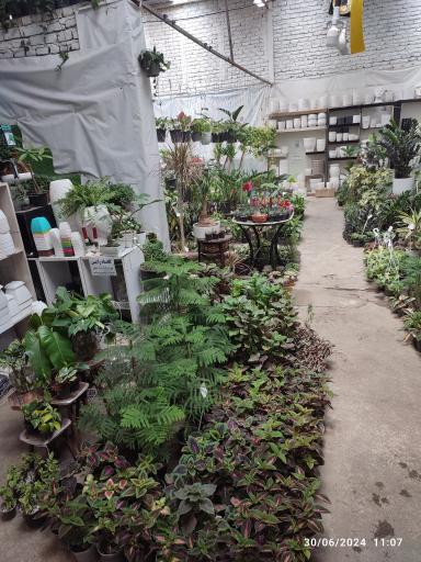 عکس گلخانه ناربُن