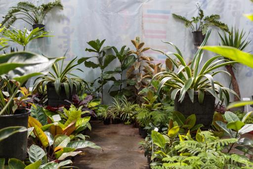 عکس گلخانه ناربُن