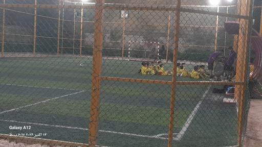 زمین چمن برنا