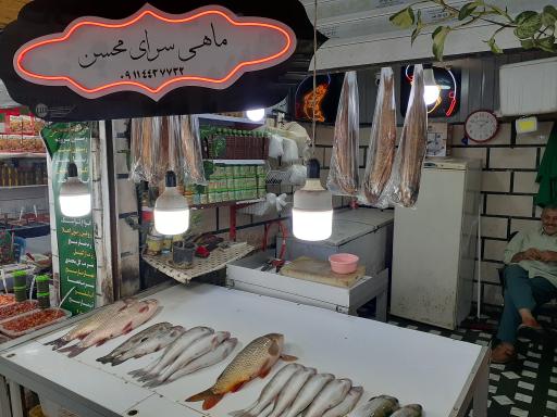 عکس ماهی سرای محسن
