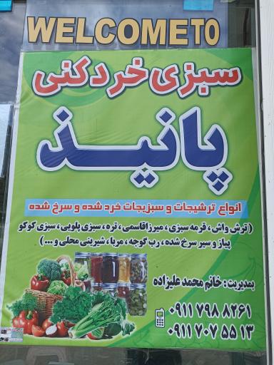 عکس سبزی خردکنی پانیذ