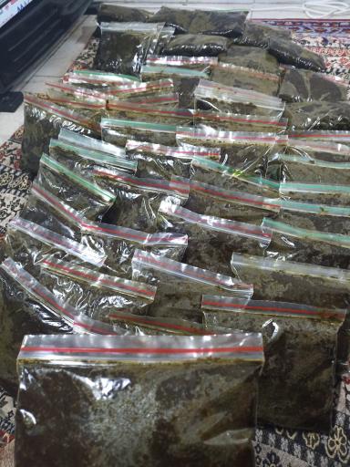 عکس سبزی خردکنی پانیذ