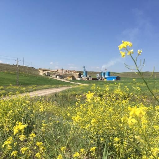 عکس شرکت گچ سهند هشترود