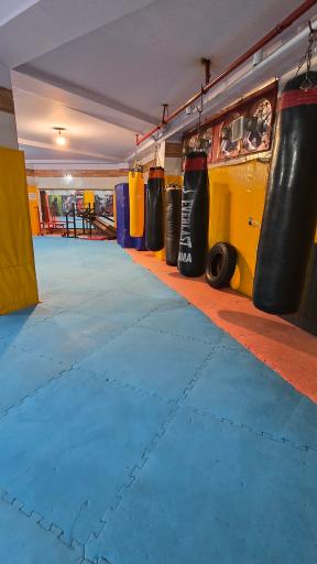 عکس باشگاه نینجوتسو نینجا