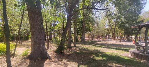 عکس پارک شهر