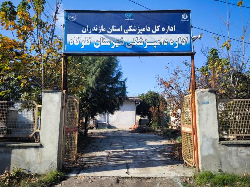 عکس اداره دامپزشکی شهرستان گلوگاه