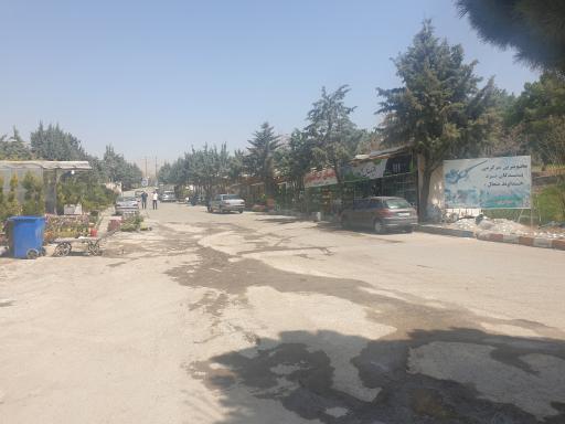 عکس بازار گل یاسلند