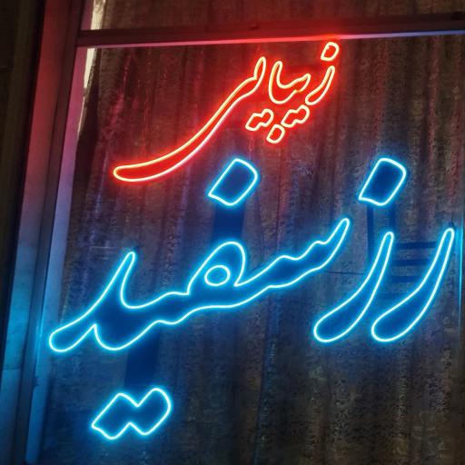 عکس زیبایی رز سفید