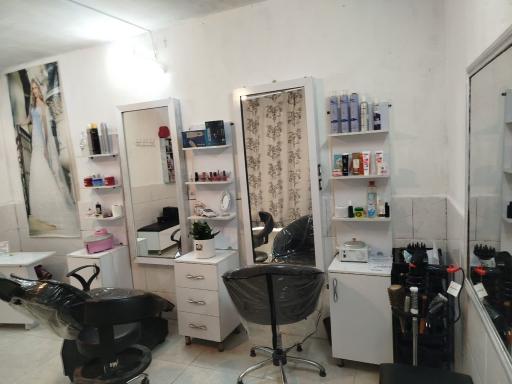 عکس زیبایی رز سفید