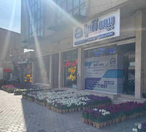 عکس نمایندگی بیمه آسیا بیات پور کد ۲۶۳۸۱