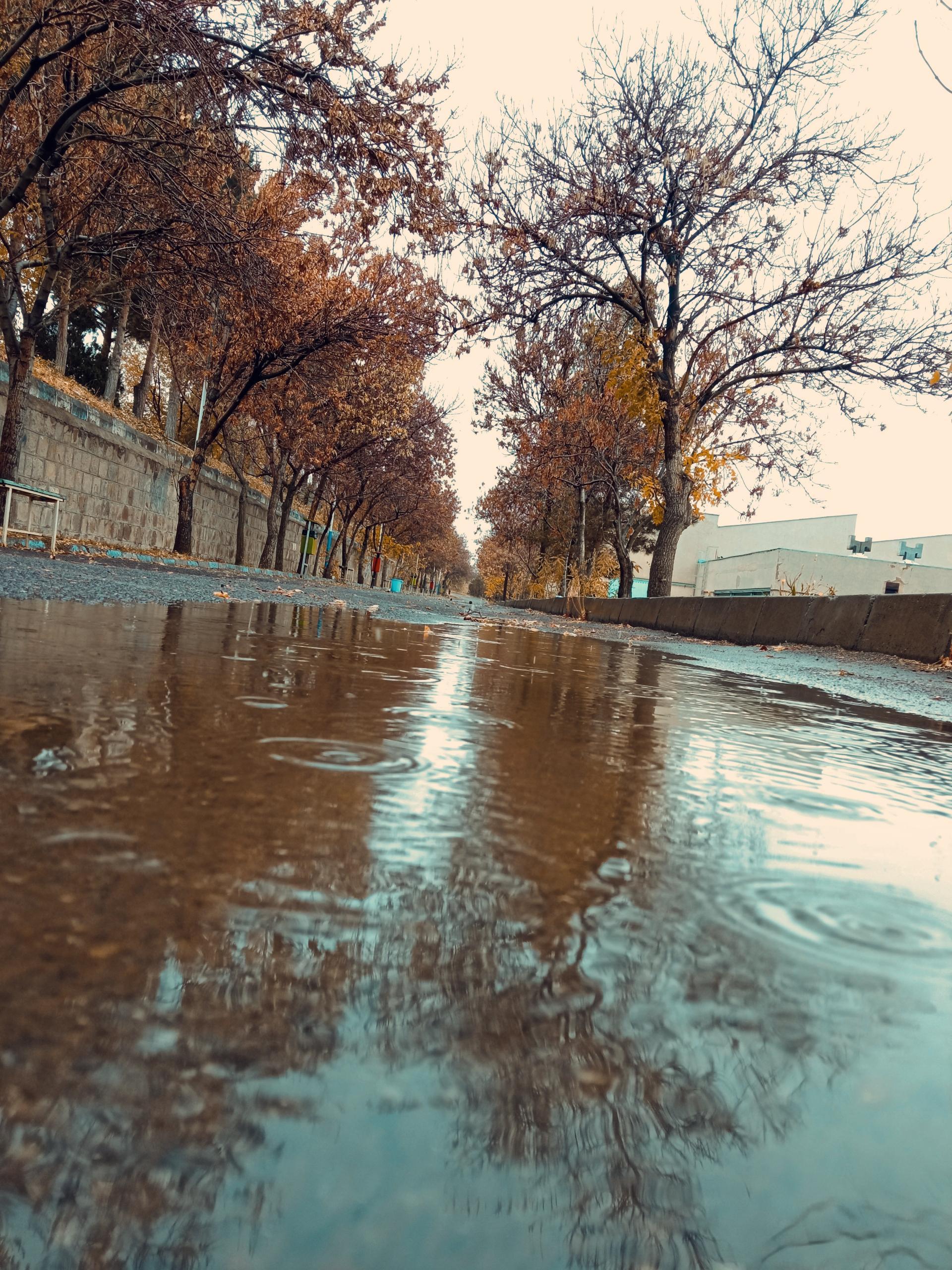 عکس دانشکده برق و کامپیوتر دانشگاه فنی و حرفه ای شماره یک تبریز