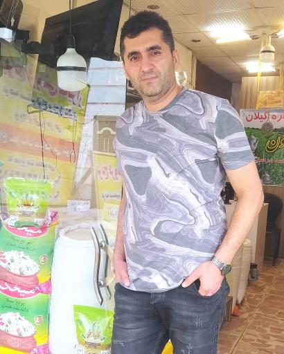 برنج شالیزار 