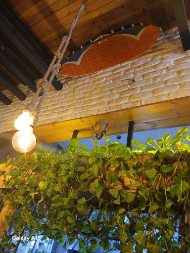 عکس جگرسرای دوربرگردون