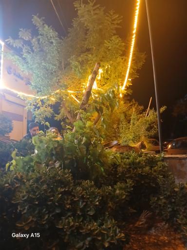 عکس جگرسرای دوربرگردون