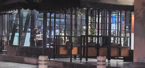 عکس پیتزا خونه شعبه صاحب‌الزمان