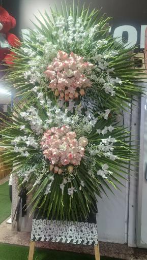 عکس پخش گل قصرگل
