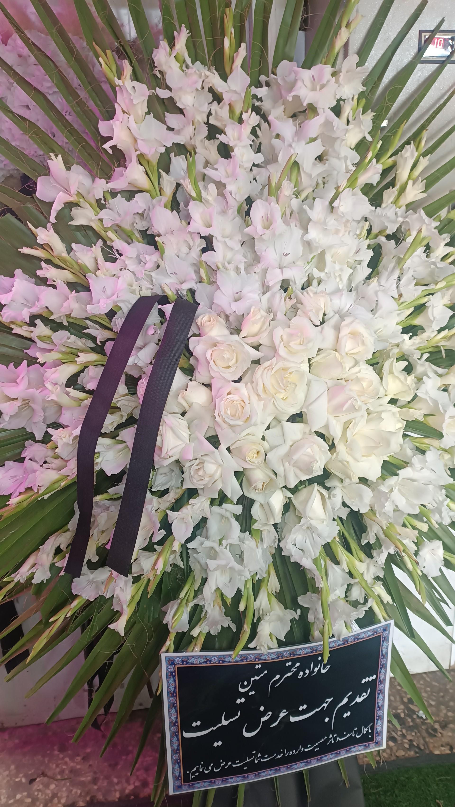 عکس پخش گل قصرگل