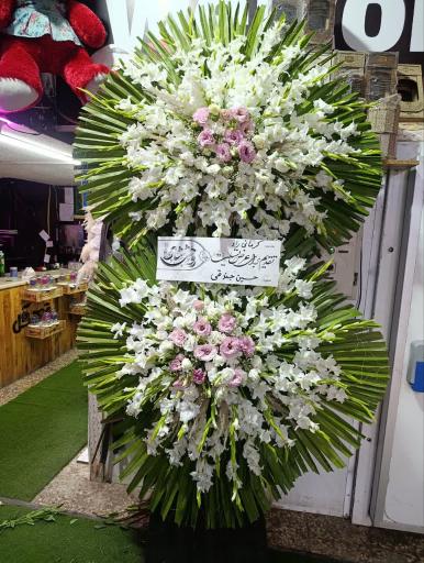 عکس پخش گل قصرگل
