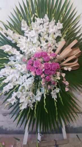 عکس پخش گل قصرگل