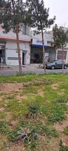 عکس بیمه‌ سامان (نمایندگی 1259)