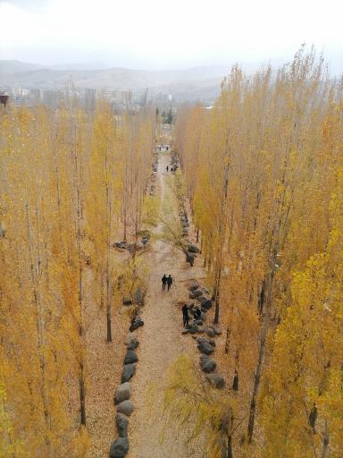 عکس دانشکده علوم اقتصادی و اجتماعی