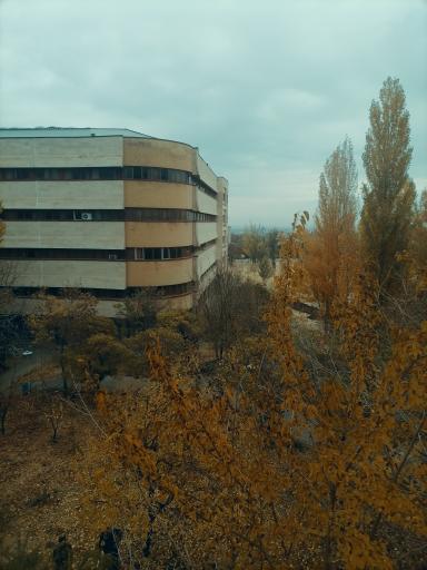 عکس دانشکده علوم اقتصادی و اجتماعی